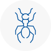 Ant Removals In Camberwell