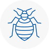 Bed Bug Extermination In Camberwell