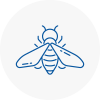 Bee Nest Removal Camberwell