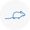 Mice Exterminators In Camberwell