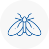 Moth Control Specialists In Camberwell