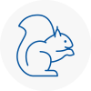 Camberwell Rodent Removals