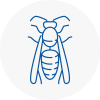 Camberwell Wasp Nest Removal